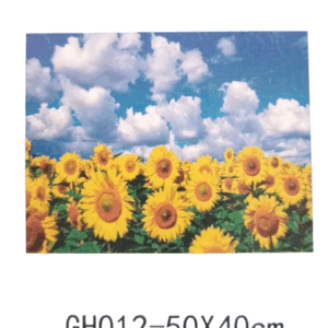 DIAMOND PAINTING LAMINA 40X50CM GH012